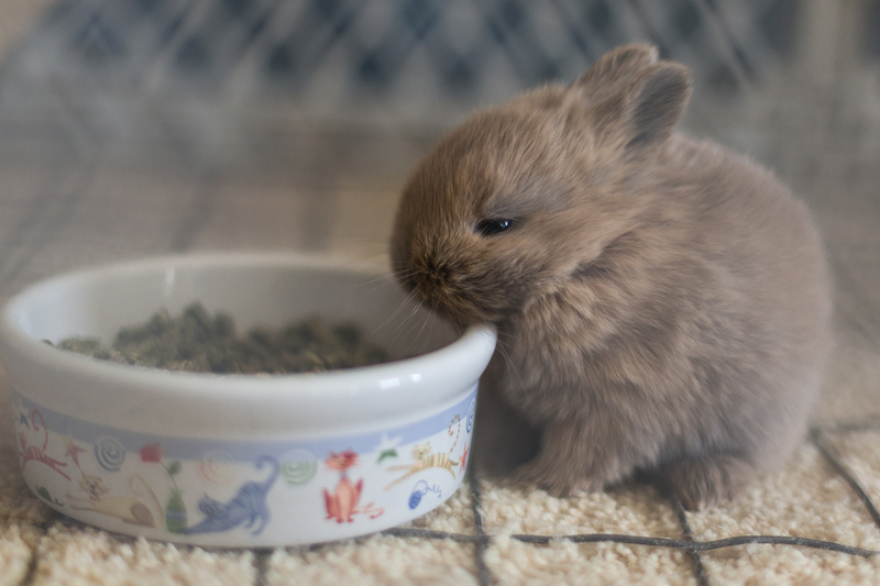 moving supplies boxes